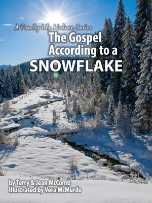 Produktbild von Das Evangelium nach einem Schneeflockenmensch