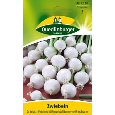 Produktbild von Quedlinburger Saatgut - Zwiebeln De Barletta - Samen - 489210