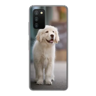 Produktbild von MuchoWow® Handyhülle Schutzhülle Hülle für Samsung Galaxy A03s Ein Golden Retriever Welpe läuft auf dem Bürgersteig Silikon Softcase Handy Hülle - Schutz