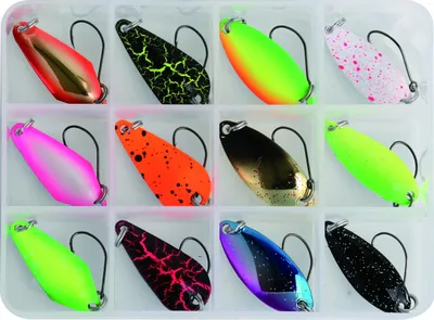 Produktbild von Paladin Spoon Kunstköder Set 12 Forellenblinker für Forelle & Barsch in Angelbox