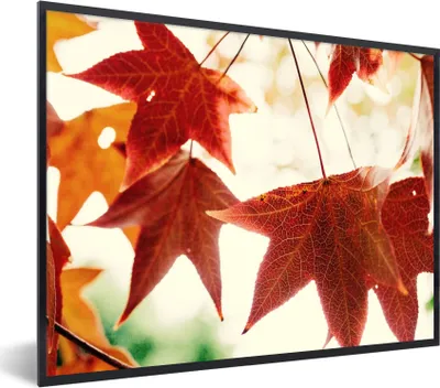 Produktbild von MuchoWow® Gerahmtes Poster Herbstblätter - November - Natur - Bäume 40x30 cm - Poster mit Schwarzem Bilderrahmen Wandposter Rahmen Foto Bilder - Kunstposter - Wanddekorationen