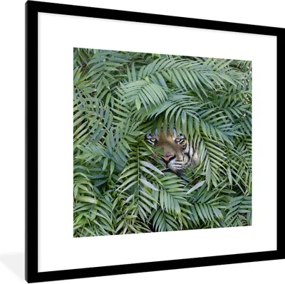 Produktbild von MuchoWow® Gerahmtes Poster Versteckter Tiger zwischen den Pflanzen 40x40 cm - Poster mit Schwarzem Bilderrahmen Wandposter Rahmen Foto Bilder - Poster - Plakat im Rahmen