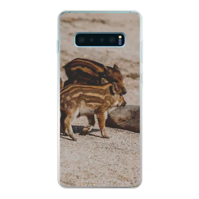 Produktbild von MuchoWow® Handyhülle Schutzhülle Hülle für Samsung Galaxy S10 Plus Baby - Wildschweine - Wild Silikon Softcase Handy Hülle - Schutzhülle
