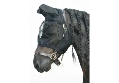 Obrázek produktu pro Harrys Horse – síťka proti hmyzu Flyshield, černá, velikost: L