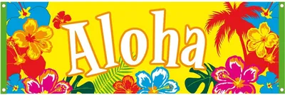 Produktbild von Partybanner Aloha Hawaii