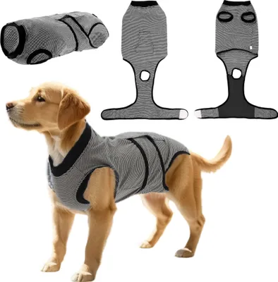 Image de Combinaison de récupération pour animaux compagnie pour chiens et chats après opérations chirurgicales, chemise récupération pour animaux de compagnie, anti-léchage gris S