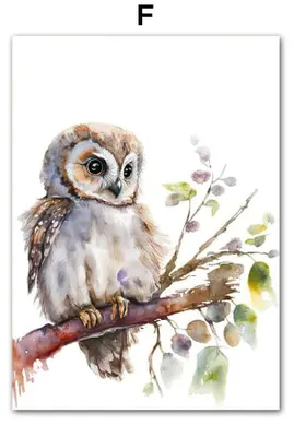 Produktbild von Poster Kinderzimmer Dschungel Wald Tiere · Kinderzimmer Bilder · Wand Deko · Kunst Druck · Deko Print · ohne Rahmen · Motiv F · 40×60 cm