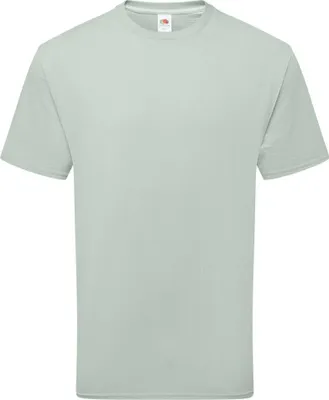 Image de Fruit of the Loom - T-shirt « Pure » pour hommes/femmes unie, coton BC7376 (XL) (sauge)