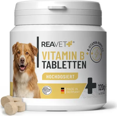 Produktbild von REAVET Vitamin B Komplex Hund 120 Tabs – Hochdosiert mit Vitamin B1, B2, B3, B5, B6, B7, B9, B12, Biotin und Folsäure für schönes Fell, Starke Nerven und Vitalität