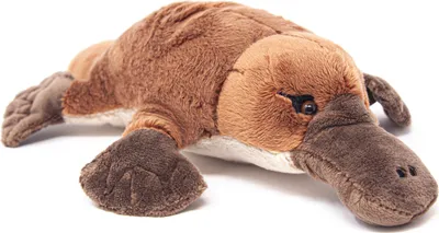 Image de Cornelissen - Doudou - ornithorynque - 28 cm