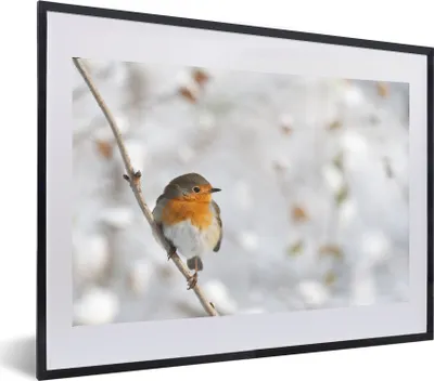 Produktbild von MuchoWow® MuchoWow® Gerahmtes Poster Vogel - Rotkehlchen - Winter 60x40 cm - Poster mit zchwarzem Bilderrahmen - Schlafzimmer - Plakat in Rahmen - Drucken