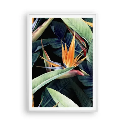 Produktbild von Gerahmtes Poster - Weißer Rahmen - Pflanze Tropisch Blume - 70x100 cm - Wand Bild - Wanddeko - Wandbilder - Kunstposter - Wandposter - Bilderrahmen - Bilder - Kunstdruck - P2WPA70x100-5093