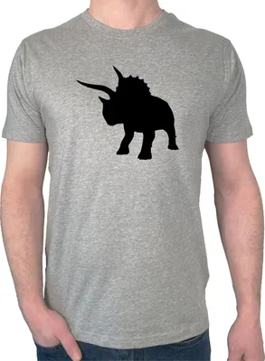 Produktbild von Huuraa Herren T-Shirt Triceratops Dinosaurier XL Sport Grey Bio Baumwolle Fairtrade Herrenshirt Geschenkidee