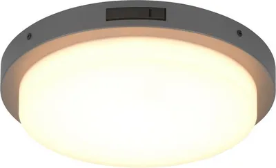 Produktbild von Trio 630369142 Bermejo LED Deckenleuchte 14W ⌀30cm Anthrazit IP54 CCT einstellbare Lichtfarbe