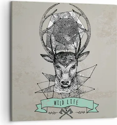 Produktbild von Bild auf Leinwand - Leinwandbild - Hirsch Geweih Wald - 60x60cm - Wand Bild - Wanddeko - Wandbilder - Leinwanddruck - Bilder - Kunstdruck - Wanddekoration - Leinwand bilder - Wandkunst - AC60x60-3072