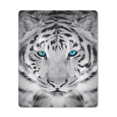 Produktbild von MuchoWow® Mauspad Mousepad Tiger - Winter - Tiere 30x40 cm - Mousepads - Maus Mat - Pad - Mausunterlage - Mausmatten