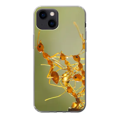 Produktbild von MuchoWow® Handyhülle Schutzhülle Hülle für iPhone 13 mini Ameisen - Orange - Tiere Silikon Softcase Handy Hülle - Softcase
