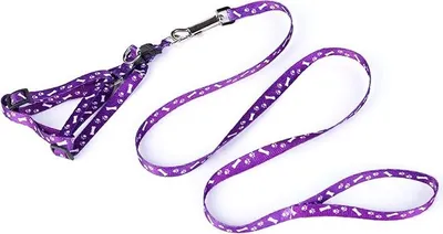 Obrázek produktu pro Postroj s vodítkem pro psy a kočky 147/1,5 cm fialový