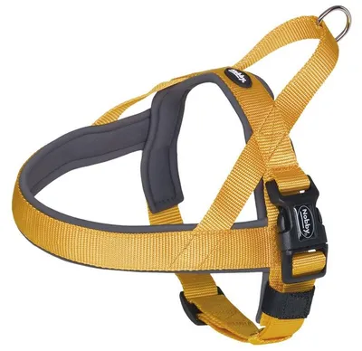 Obrázok produktu pre Nobby NORWEGER Geschirr "Classic Preno" D: 50-64 cm + 42 cm, Š: 25/35 mm oranžová / šedá