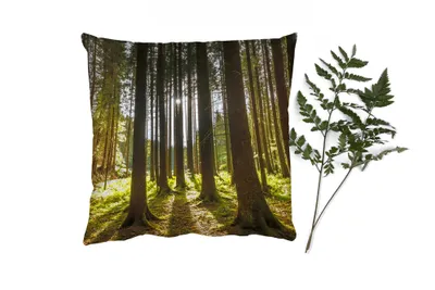 Produktbild von MuchoWow® Zierkissen Sofakissen Wohnzimmer Dekokissen 50x50 cm Baum - Natur - Sonne - Wald - Komfort - Sofakissen