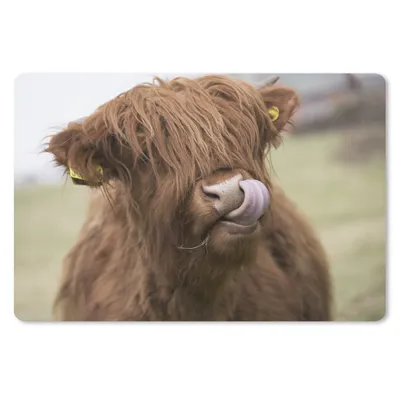 Produktbild von MuchoWow® Mauspad Mousepad Schottischer Highlander - Braun - Tiere 27x18 cm - Mousepads - Maus Mat - Pad - Mausunterlage - Büroartikel - Desk Matten