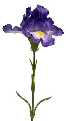 Immagine prodotto di Clayre & Eef, fiore artificiale in plastica, colore viola