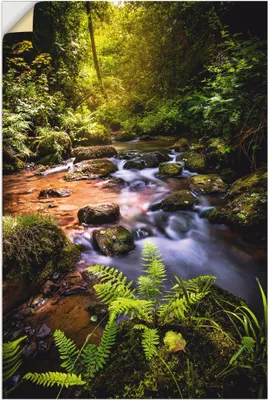 Produktbild von ARTland Wandbild, selbstklebend Wildbach im Wald Größe: 20x30 cm