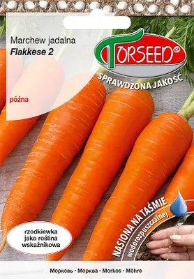 Produktbild von Saatgut Karotte Flakkese 2- Torseed
