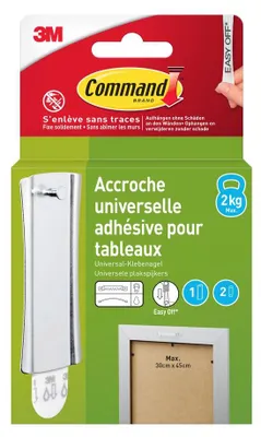 Image de accroche cadre avec tete clou metal petit modele
