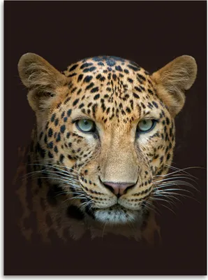 Produktbild von Digital bedruckte Wohndecken Leopard