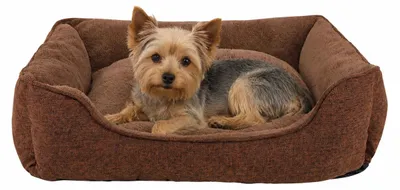 Productafbeelding van Lionto hondenbank, modern hondenbed met antislipbodem, afneembare hoes en pluche binnenkant, 75x60 cm, bruin