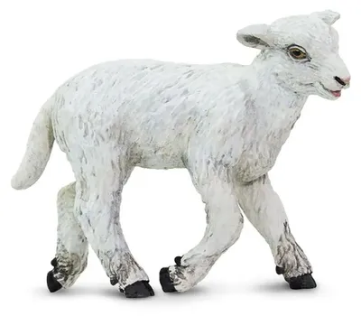 Produktbild von Safari Ltd Lammfigur Weiß From 3 Years Kinder Weiß From 3 Years