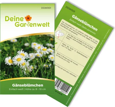 Produktbild von Gänseblümchen Einfach weiß Samen - Bellis perennis - Gänseblümchensamen - Blumensamen - Saatgut für 300 Pflanzen