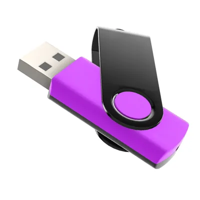 Produktbild von 2GB USB Stick Swivel Schwarz/Lila mit Schwarzem Bügel,