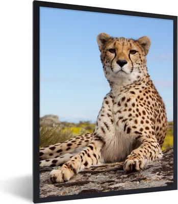 Produktbild von MuchoWow® Gerahmtes Poster Leopard - Tiere - Natur 60x80 cm - Poster mit Schwarzem Bilderrahmen Wandposter Rahmen Foto Bilder - Premium - Wanddeko Wohnzimmer