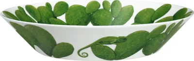 Obrázok produktu pre Veľkosť misky na šalát TAITÙ Cactus