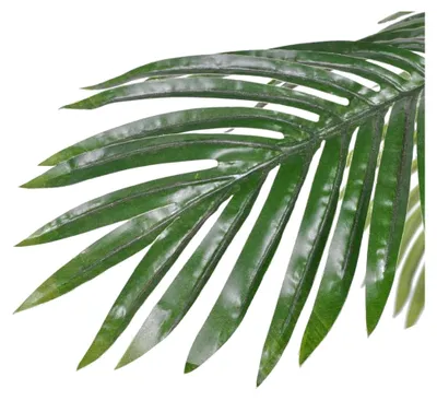 Produktbild von Künstliche Pflanze Cycas-Palme 150 cm