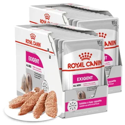 Zdjęcie produktu dla Royal Canin CCN Exigent 24x85g Karma Mokra Pasztet Dla Wybrednych Psów Dorosłych