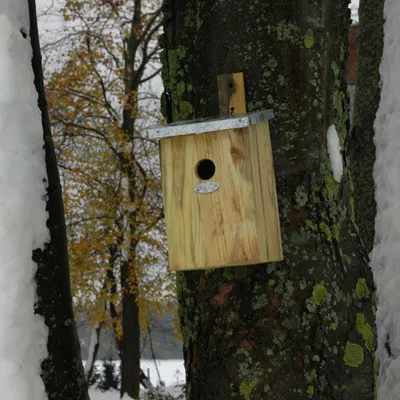 Immagine prodotto di Scatola nido a specchio Esschert Design; NKY