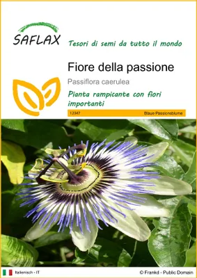 Immagine prodotto di SAFLAX  - Fiore della passione - 25 semi - Passiflora