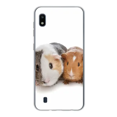 Produktbild von MuchoWow® Handyhülle Schutzhülle Hülle für Samsung Galaxy A10 Fünf Meerschweinchen Silikon Softcase Handy Hülle - Schutzhülle