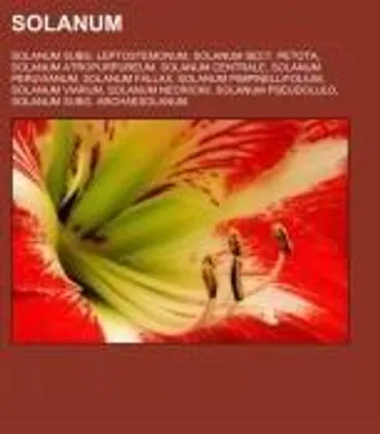 Produktbild von Solanum