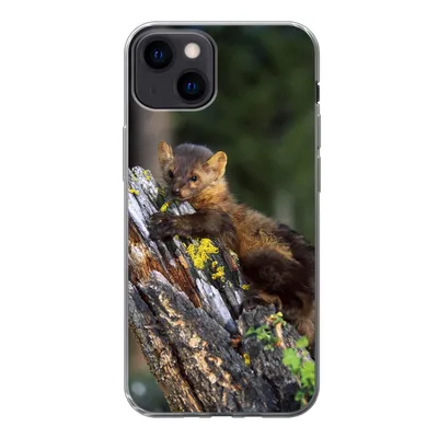 Produktbild von MuchoWow® Handyhülle Schutzhülle Hülle für iPhone 13 Marder - Baum - Wald Silikon Softcase Handy Hülle - Karteninhaber