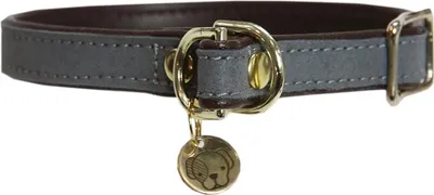 Produktbild von Kentucky Dogwear Loop Hundehalsband
