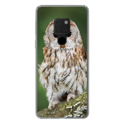 Produktbild von MuchoWow® Handyhülle Schutzhülle Hülle für Huawei P40 Lite Braune Eule sitzt auf einem Baum Silikon Softcase Handy Hülle - Handy