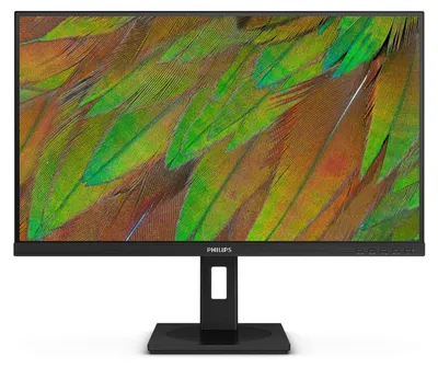 Image de Philips 3000 series 27B1U3900/00 computer monitor 68.6 cm (27") 3840 x 2160 pixels 4K Ultra HD LCD Black