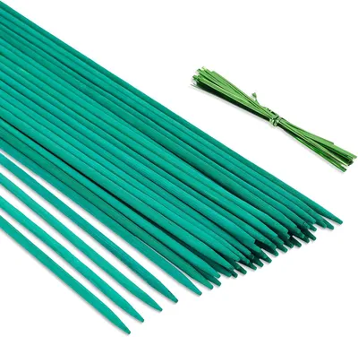 Imagen del producto de Varillas de bambú, 38 cm de longitud, paquete de 50 unidades, con sujetadores para plantas para soporte