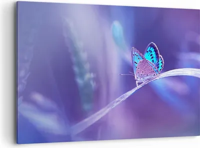 Produktbild von Bild auf Leinwand - Leinwandbild - Schmetterling Natur - 100x70cm - Wand Bild - Wanddeko - Leinwanddruck - Bilder - Kunstdruck - Wanddekoration - Leinwand bilder - Wandkunst - AA100x70-3879
