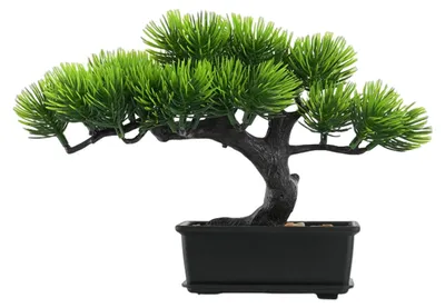 Künstlicher Bonsai-Baum, Podocarpus, Kunstpflanze, 33 cm, Topf