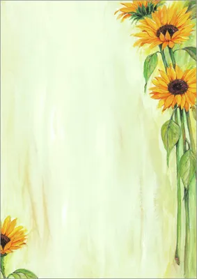 Obrázek produktu pro sigel Design-Papier, DIN A4, 90 g/qm, Motiv "Sunflower"